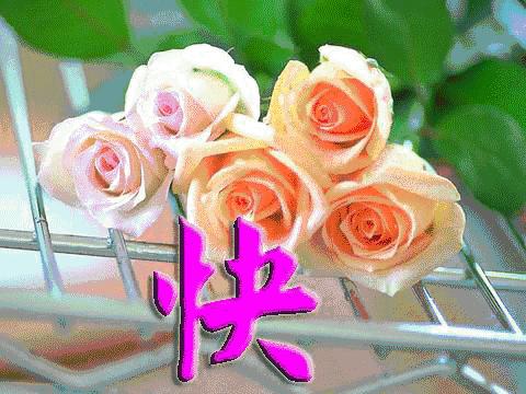 微信朋友圈早上好表情图片大全,早上好微信动态表情精美图片大全