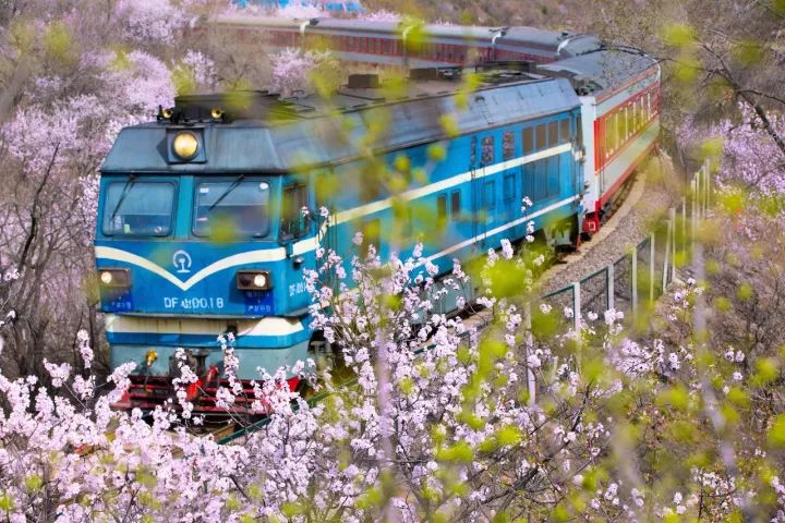 尼康d800搭配尼康24-120效果怎么样,尼康d800自身携带的拍摄风格