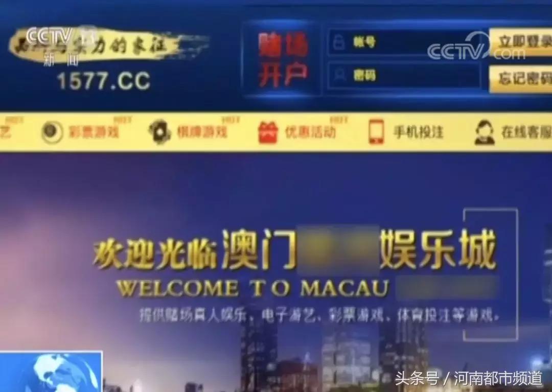 QQ群、贴吧成为滋生犯罪的温床，平台责任该如何落实？