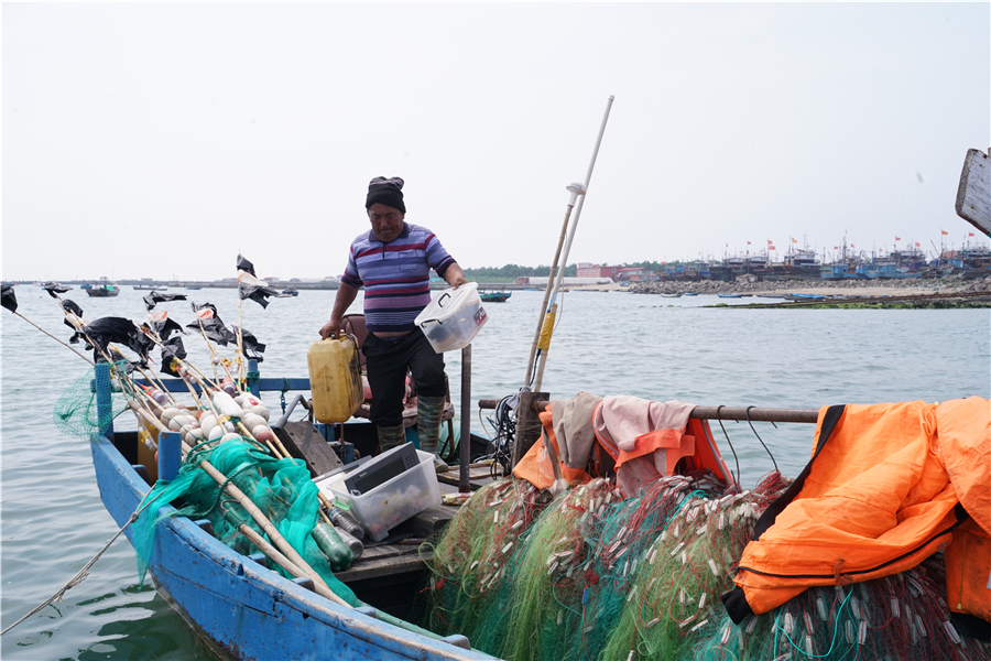 渤海湾沿岸最好的避暑胜地,东海湾避暑景点