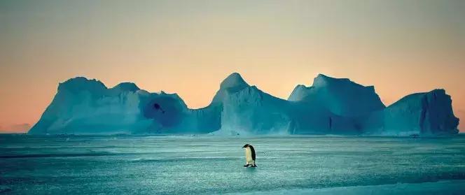 探索自然的纪录片推荐,七部神级自然纪录片你看过几部