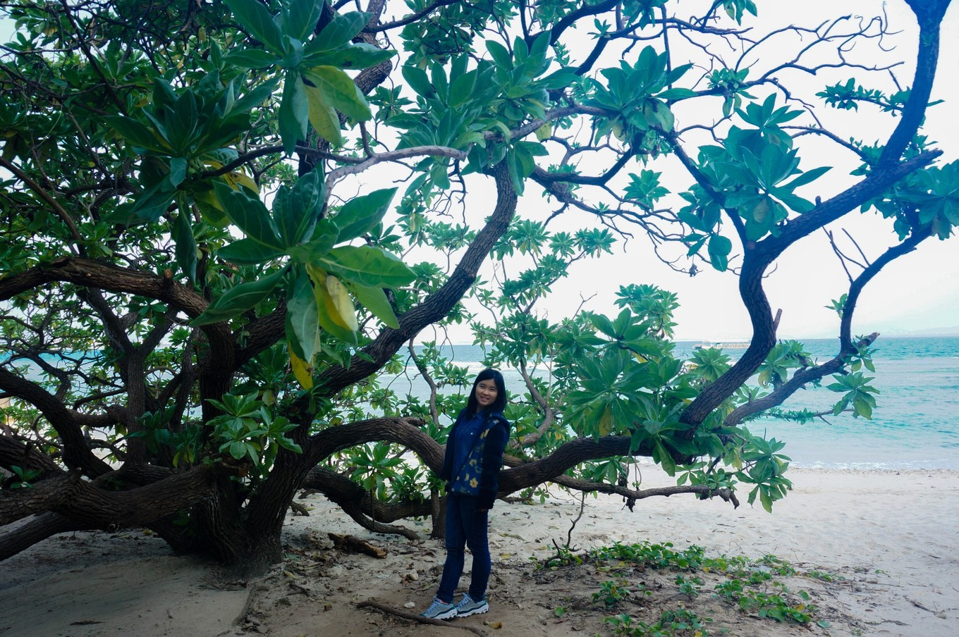 五天四晚三亚情侣攻略,三亚四天攻略