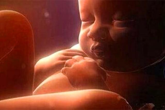 胎儿除了睡觉还会在肚子里忙什么,胎儿除了睡觉其他时间都在动