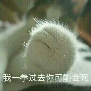 女友太作要不要惯着,遇到太作的女朋友