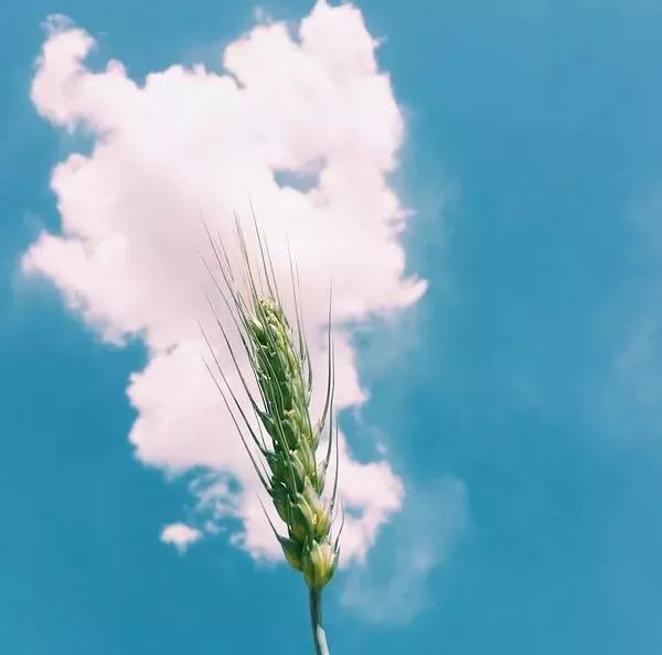 最经典的微小说,一等奖微小说出轨