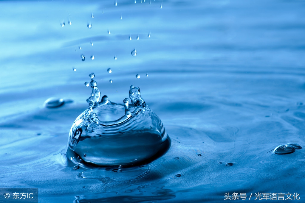 趣味谜语脑筋急转弯动物,英语谜语脑筋急转弯