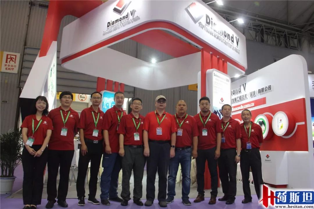 荷斯坦展览会,荷斯坦牛展