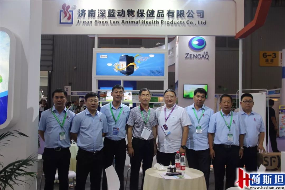 荷斯坦展览会,荷斯坦牛展