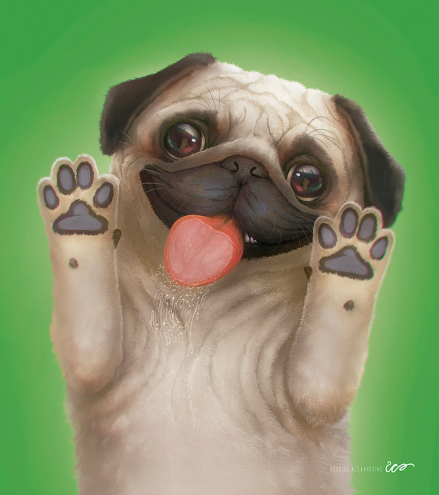 插画procreate绘画教程,rodrigo插画大全