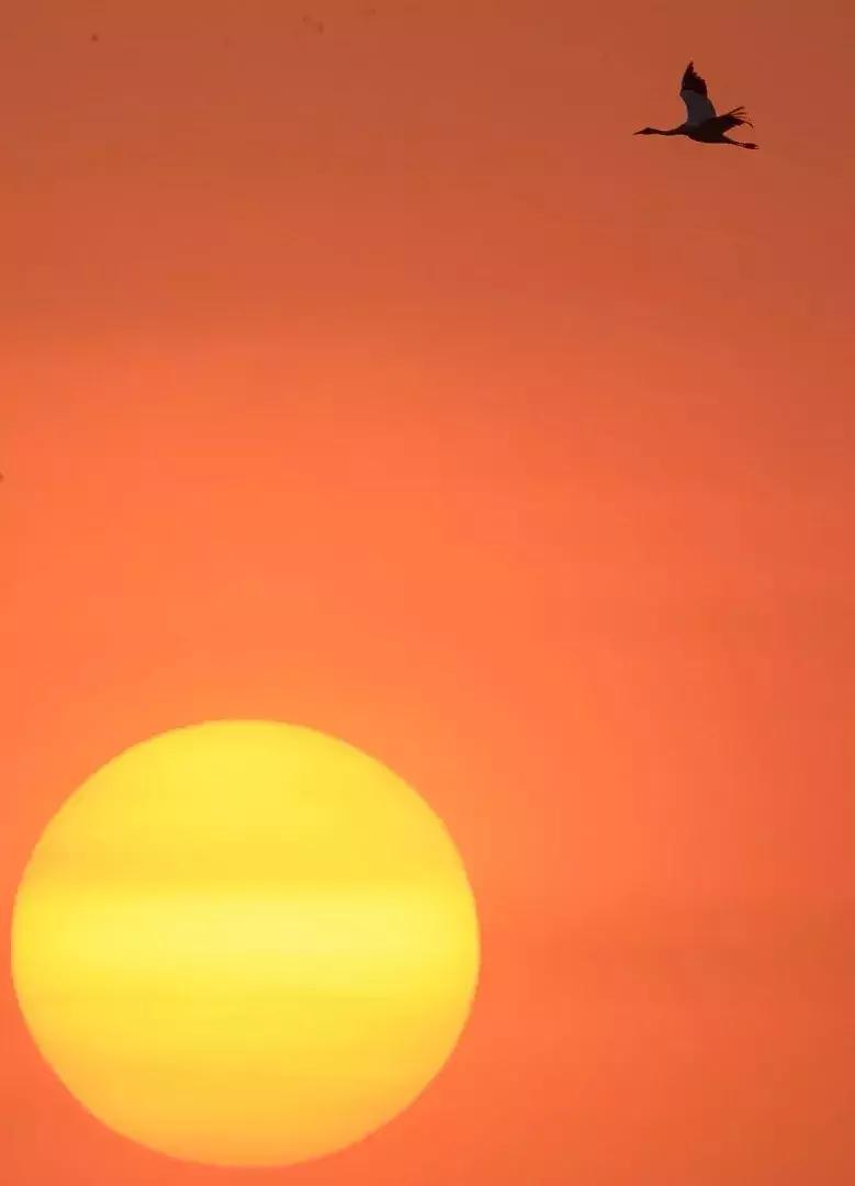 每日一字心得体会,每日一字心字