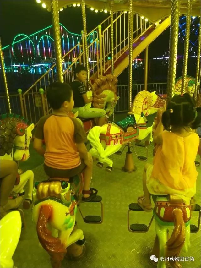 夜场游乐园24小时营业,园博游乐园夜场门票