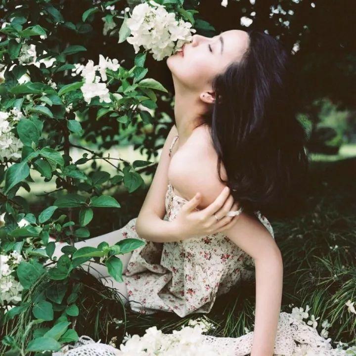 小说丁香,小说丁香花在线阅读