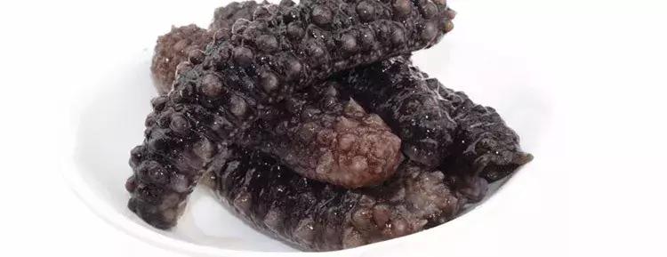 海参原产地视频素材,哪里产地的海参最好