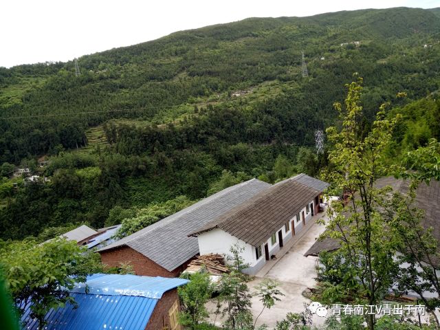 「青春扶贫示范项目」女大学生回乡创业带领乡亲致富——南江县远霖畜禽养殖专业合作社负责人蒋超群创业故事（第8期）