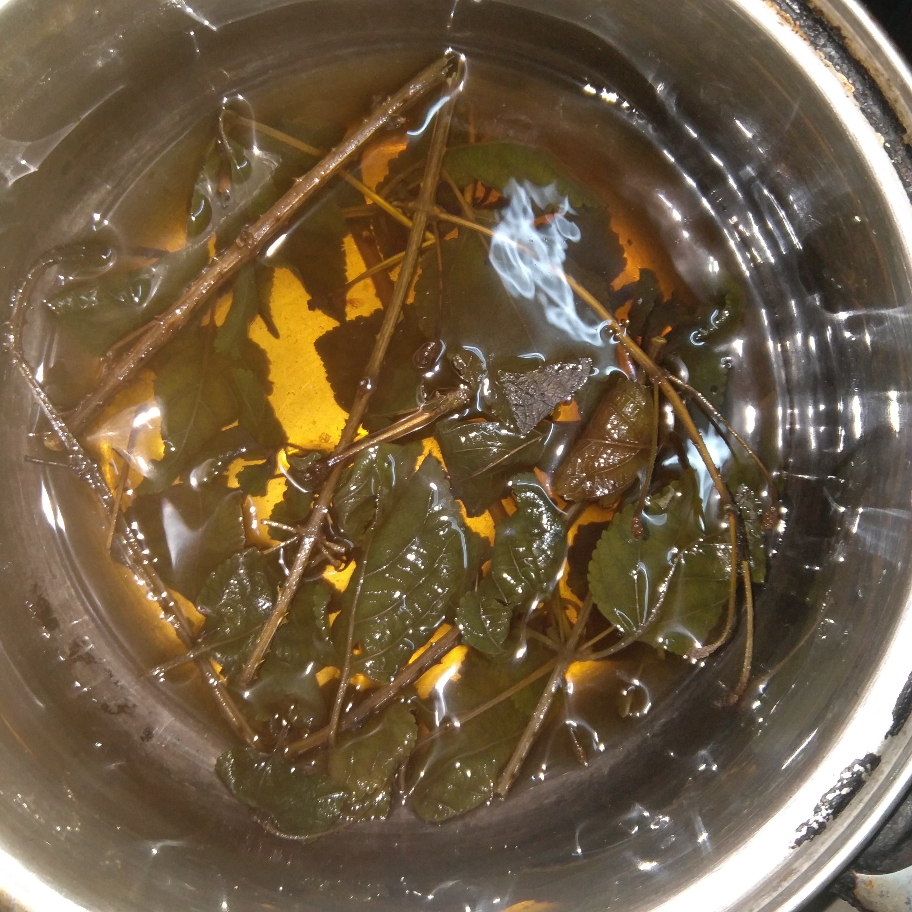 乌龟腐皮疥疮灵怎样用,乌龟治疗白眼腐甲