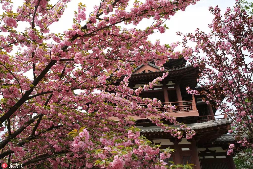 每日一字图,每日一字型