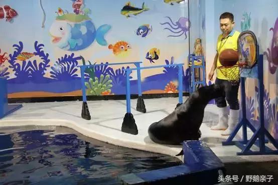 这个夏天去北京旅游好玩吗,夏天适合去的海底世界