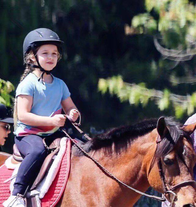 贝克汉姆小七走路霸气,贝克汉姆小七大变化