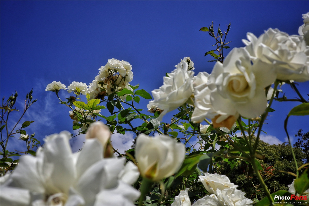 佳能微单eosm100怎么样,佳能eosm10相机评测