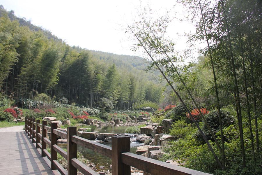 宜兴竹海和南山竹海哪个值得一去,宜兴竹海寻一方仙境嗅自然之香