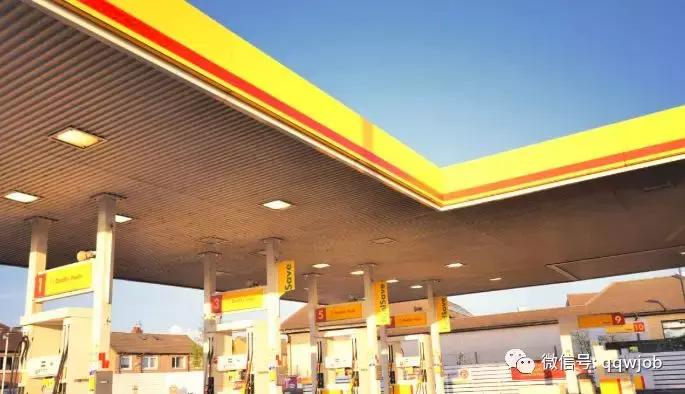 壳牌招实习生石油巨头竟是卖贝壳起家