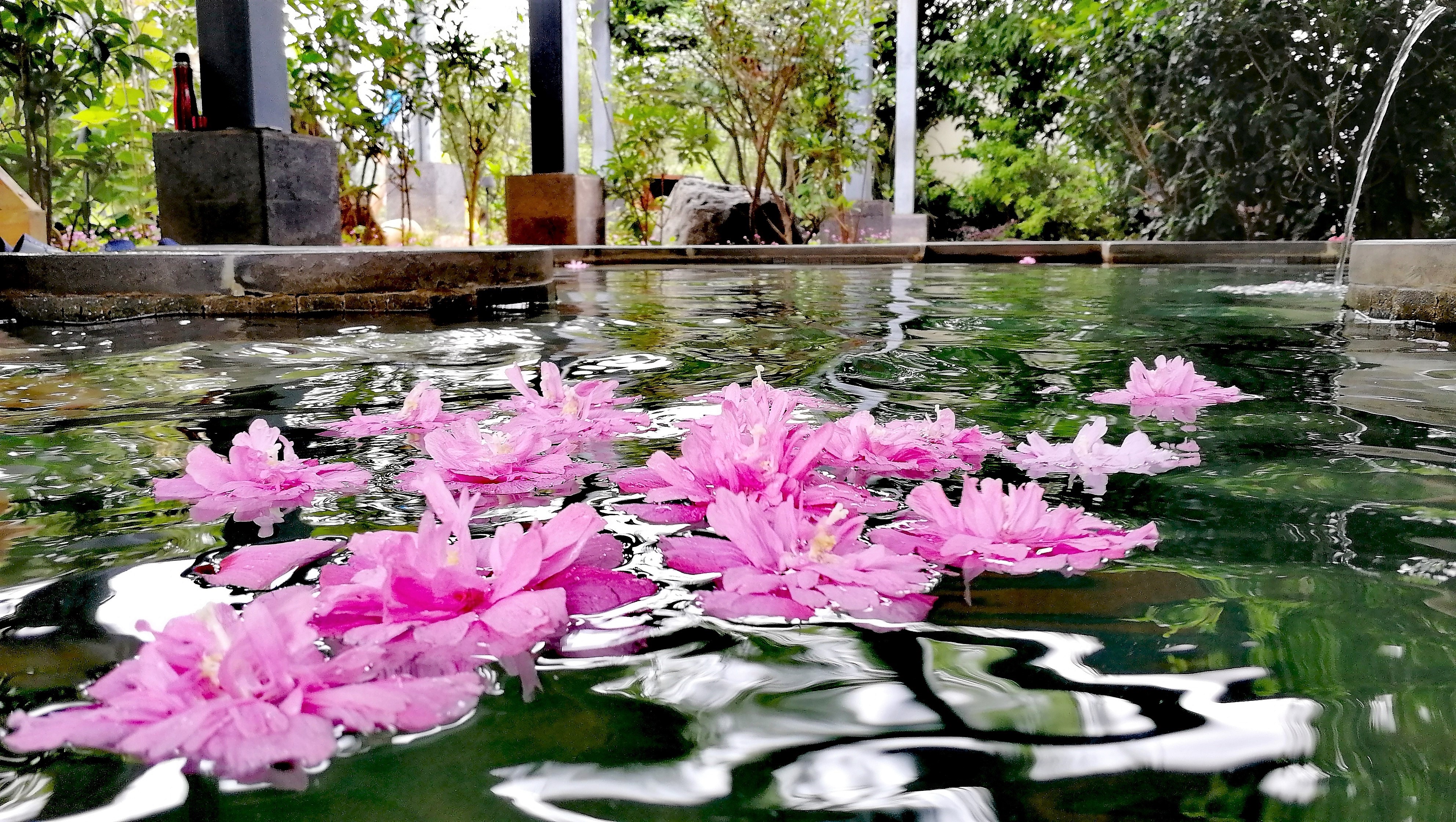 看花海，泡温泉，吃美食，这样的度假风你爱不爱？