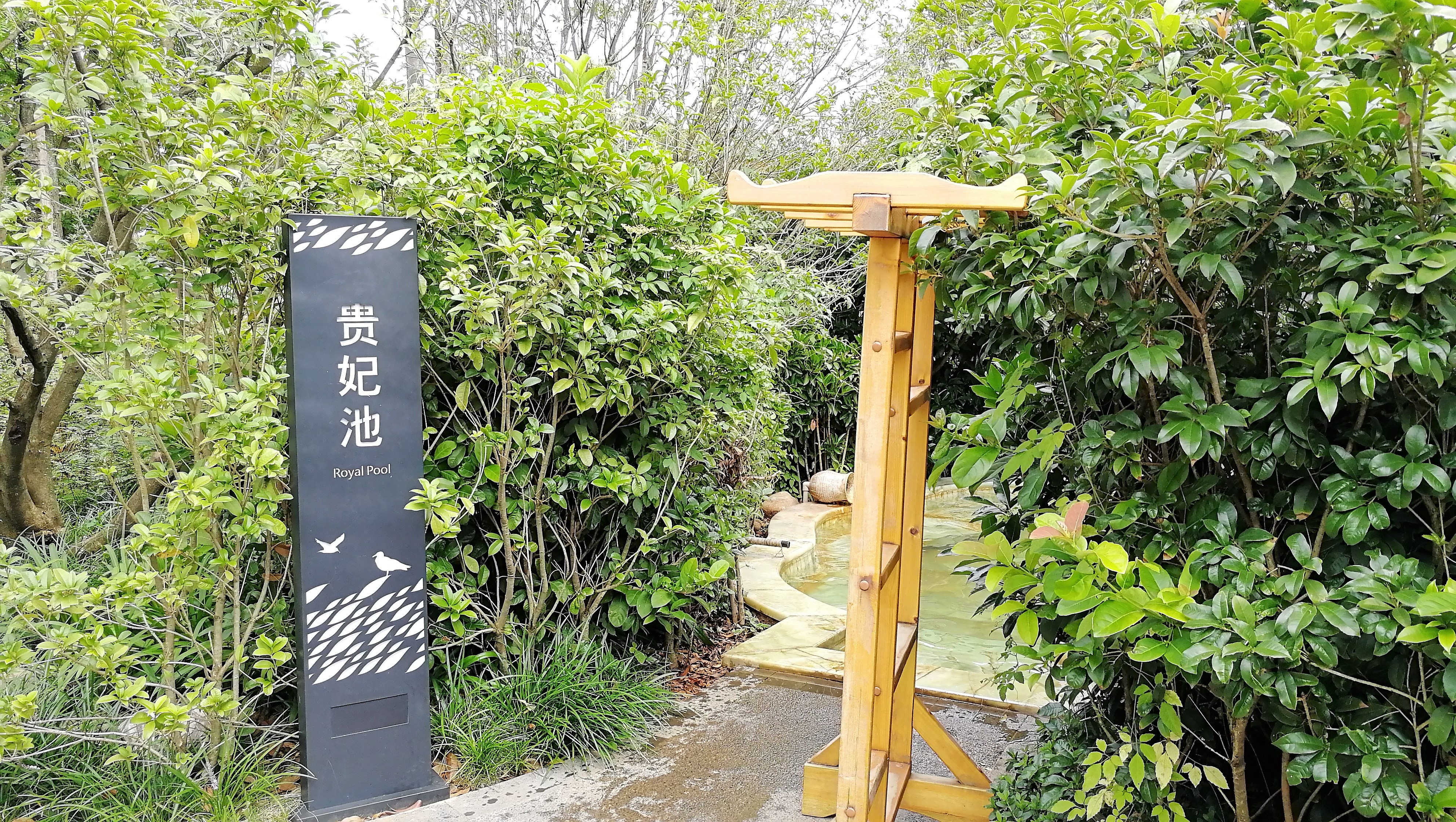 看花海，泡温泉，吃美食，周末就来这里！