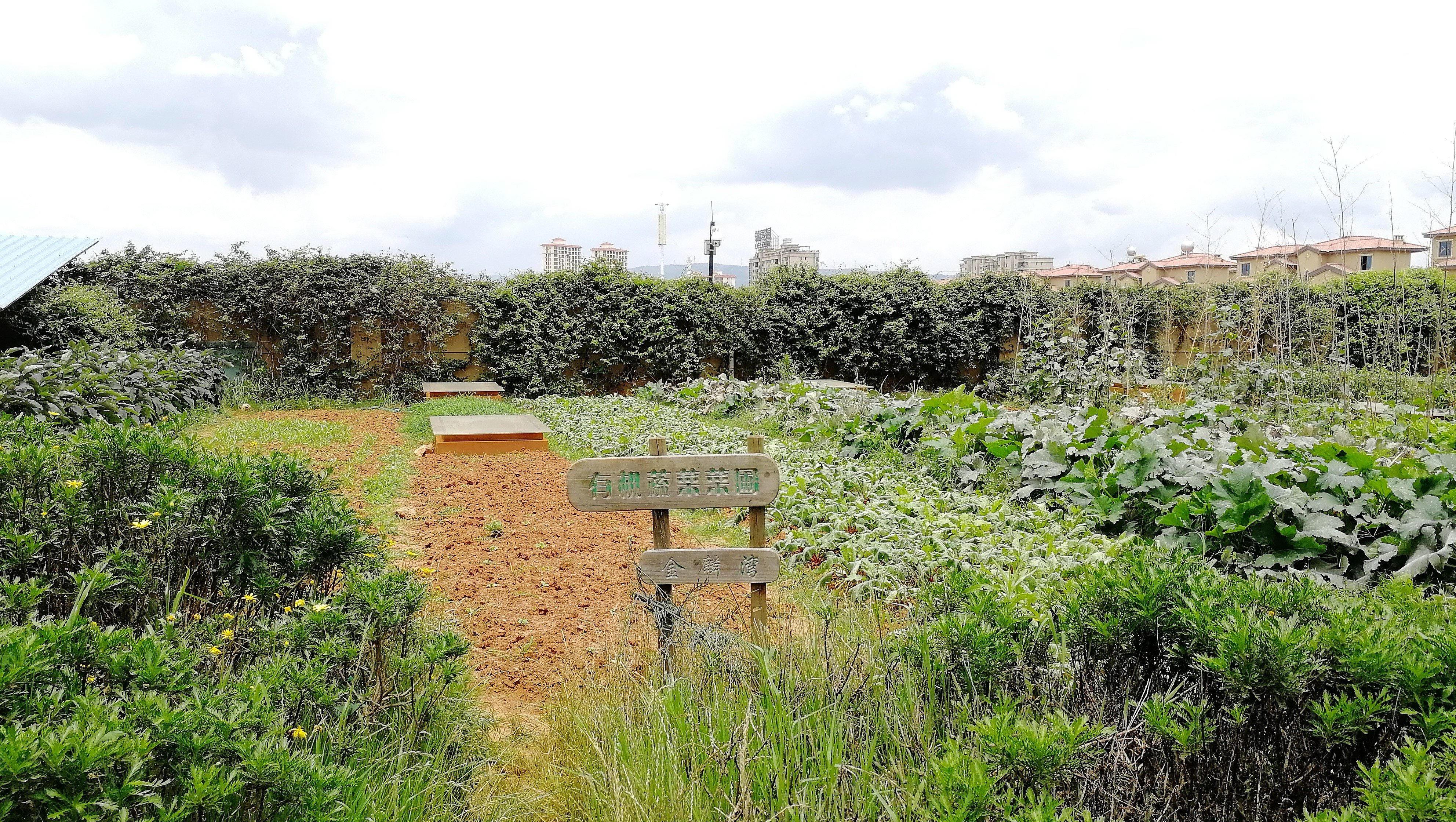 看花海，泡温泉，吃美食，这样的度假风你爱不爱？