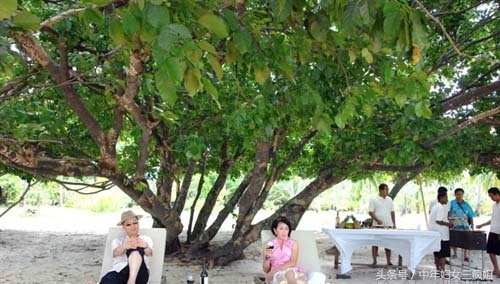 贺峰喜欢melissa,melissa和贺峰