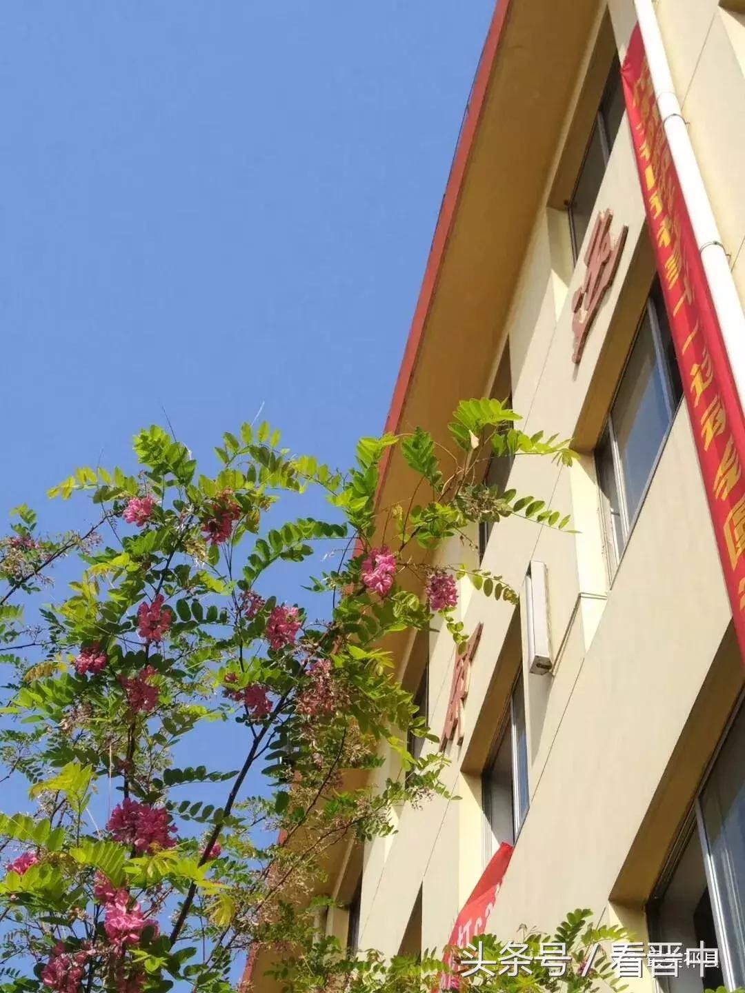 情系职中(杨保卫)