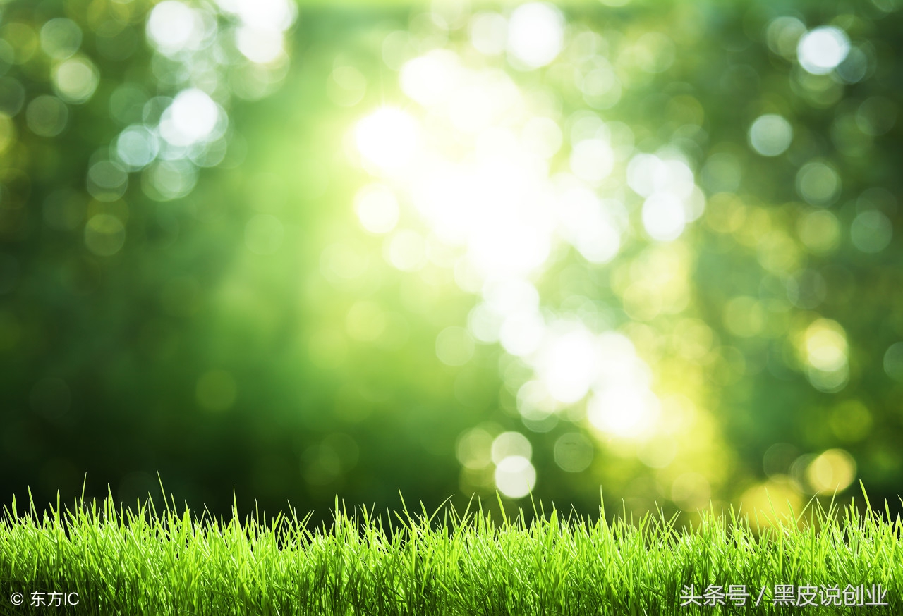 一百个创业小技巧,三个步骤让你创业