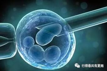 冷冻卵子过程痛苦吗,冷冻卵子唯一的后悔药