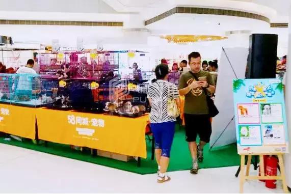 绾夸笂绾夸笅鑱斿姩鑾峰,绾夸笂绾夸笅浜掑姩钀ラ攢妗堜緥