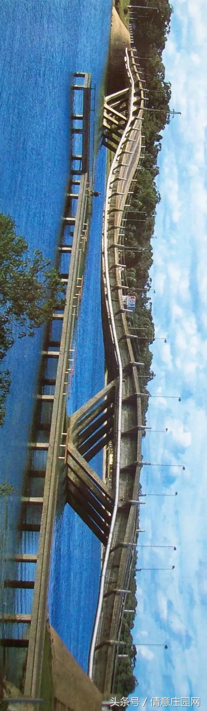 乌拉圭看韩国葡萄牙,乌拉圭5比0足彩赔率