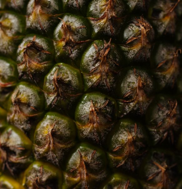 上海半岛酒店新年套餐礼券,上海半岛酒店团购3天2晚