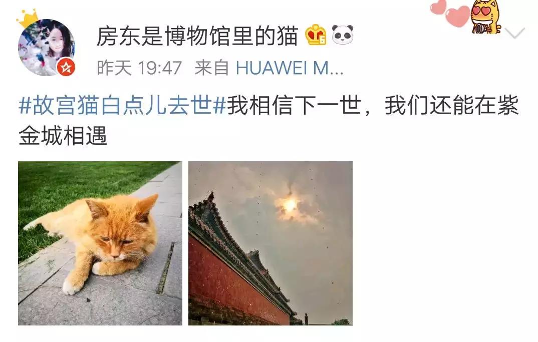 故宫的猫去世了吗,故宫的猫怎么去世的