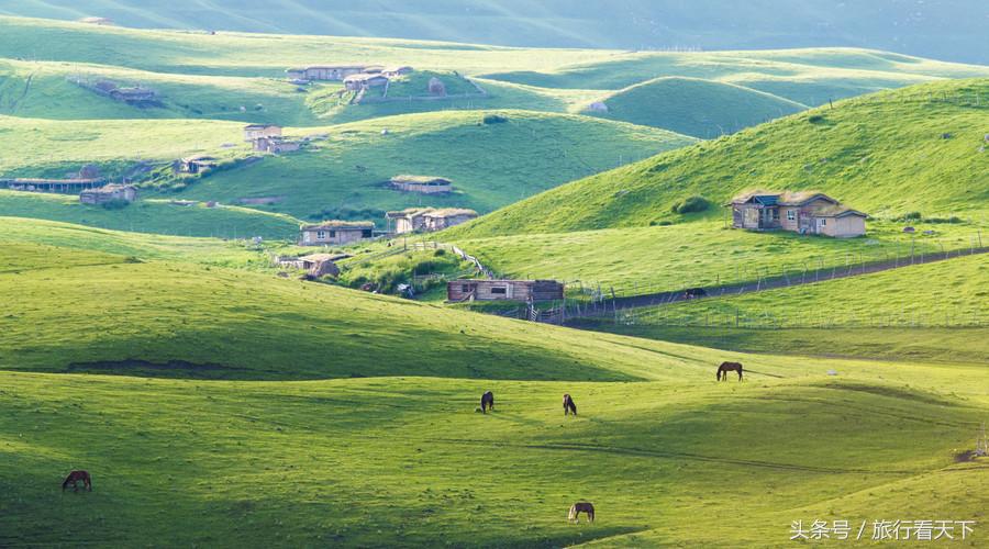 凭大学录取通知书免费，这个深藏边疆的高原瑶池，美到令人震撼
