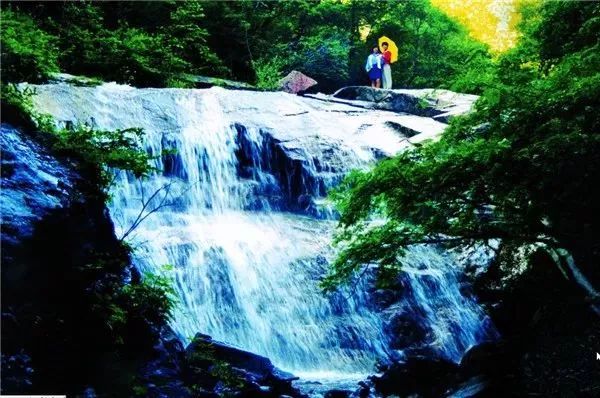 云顶草原花海,驼梁云顶草原风景