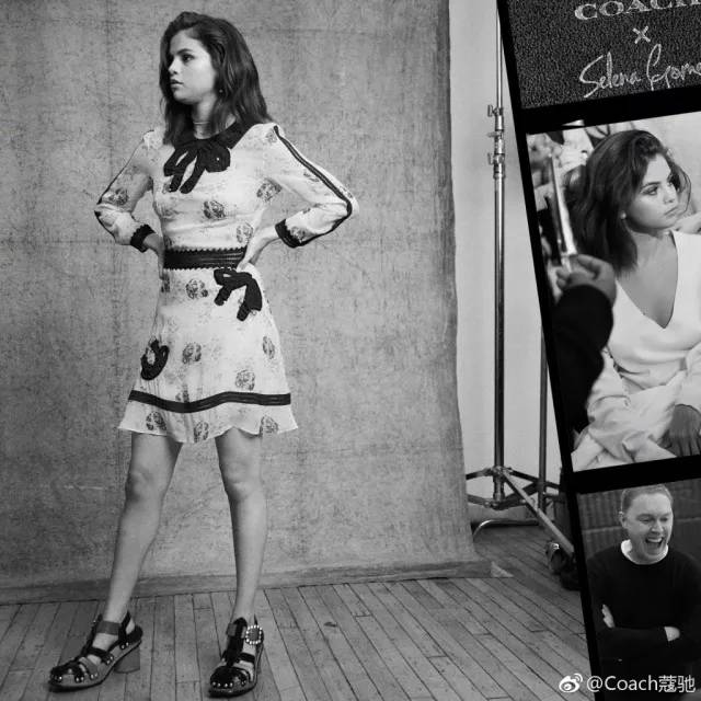 mk和coach哪个更值得买,coachmk哪个档次高