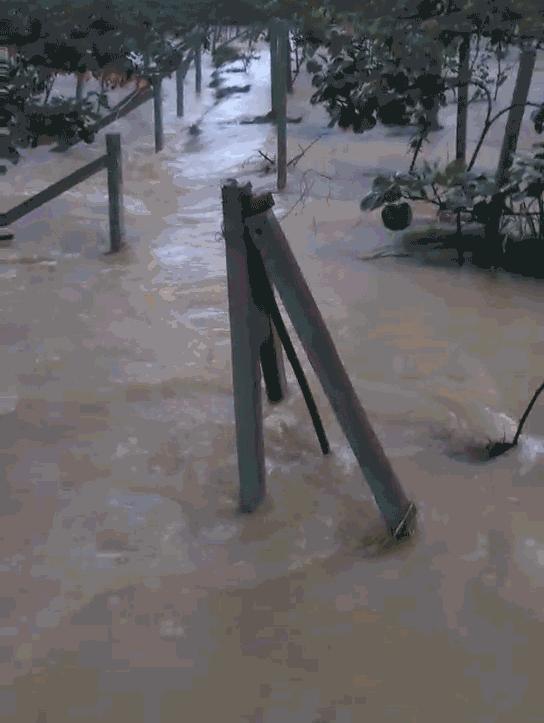 暴雨蒲江,成都蒲江县暴雨