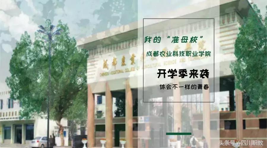 四川最美的高职院校，现在的大学校园环境真的很不错