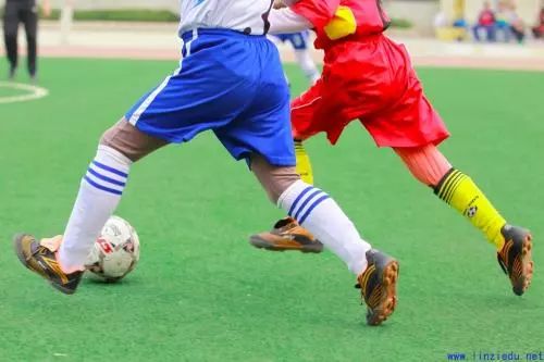 教育部校园足球发展,教育部高水平运动员新通知