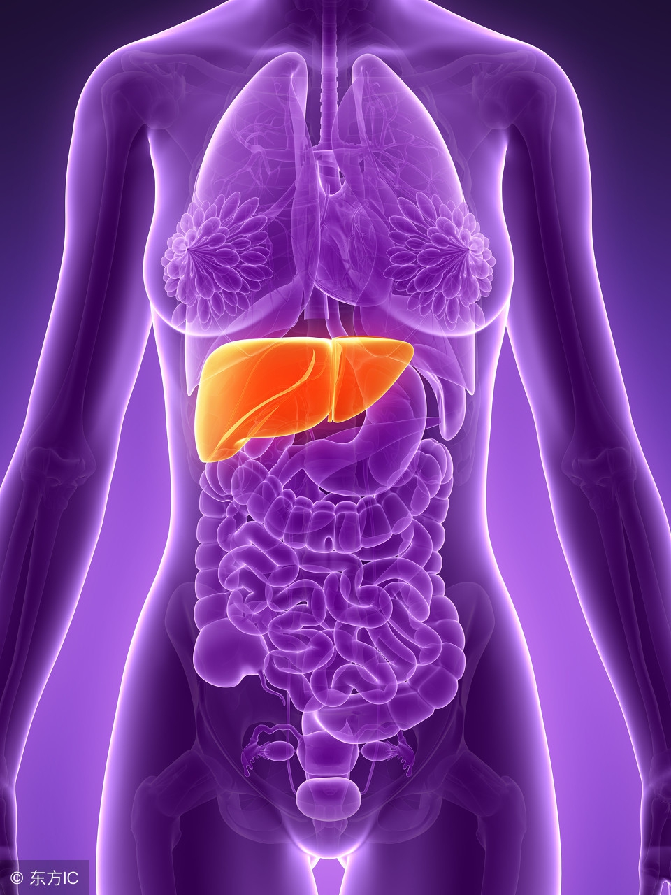 中医治疗晚期肝癌100例,了不起的中医治疗肝癌