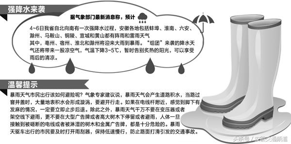 百日行动重点违法行为专项曝光,合肥百日行动严查什么