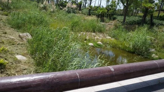 打球了吧？被咬了吧？没想到球场有蚊子吧？快拿好球场防蚊*法大**！