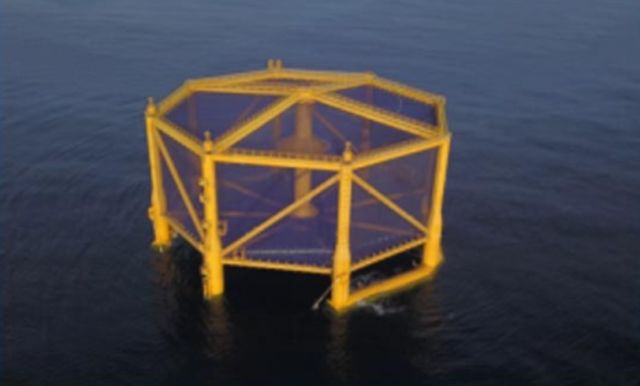 深海渔场海鲜自助餐三文鱼,中国大规模海水养殖三文鱼成功