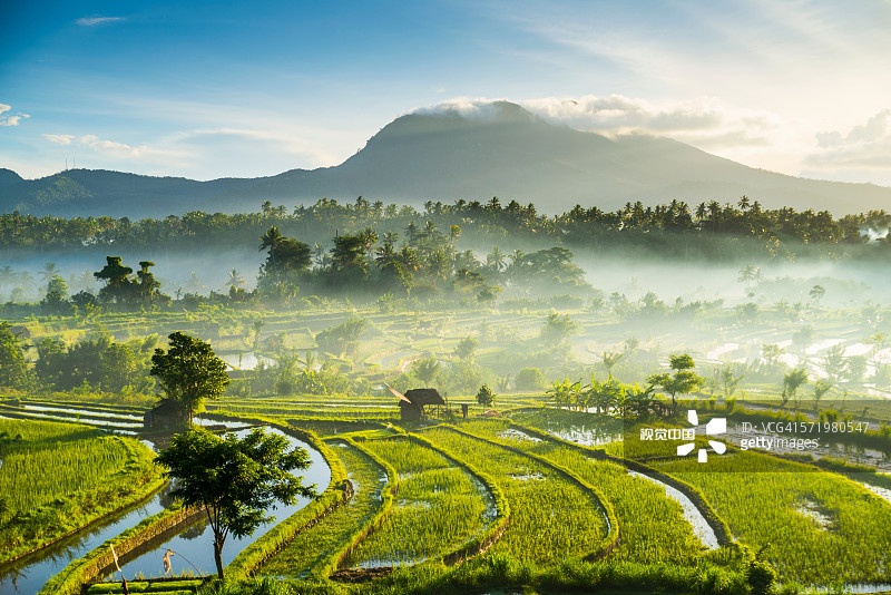 演讲稿：我和印尼的故事