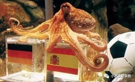 世界杯预测比分模板,世界杯比分精准预测