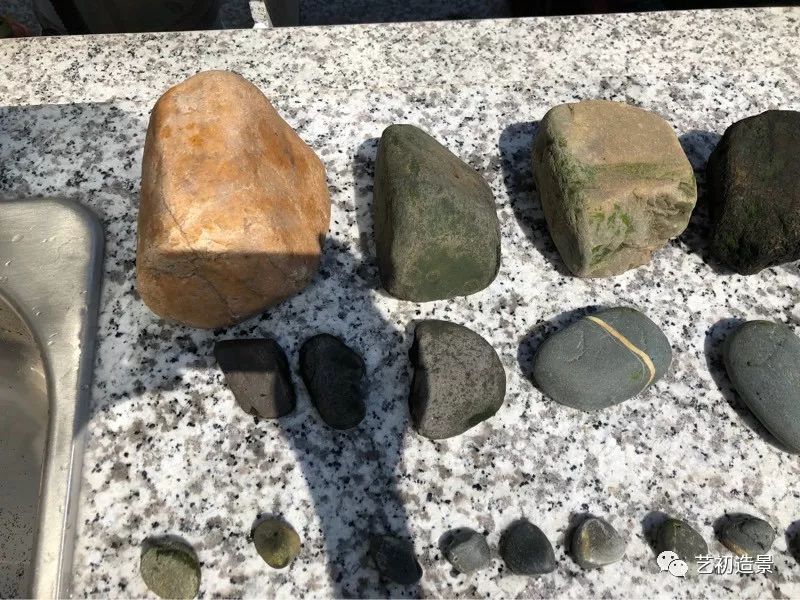 虾虎缸造景要什么过滤器,虾虎缸用什么石头造景好