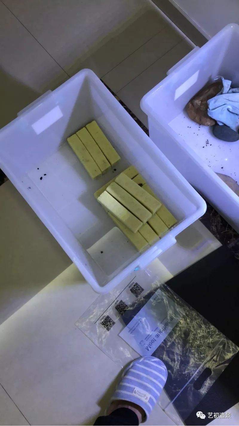 虾虎缸造景要什么过滤器,虾虎缸用什么石头造景好